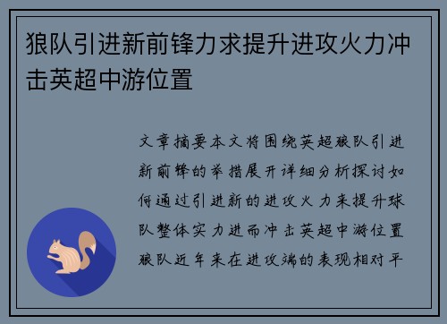 狼队引进新前锋力求提升进攻火力冲击英超中游位置